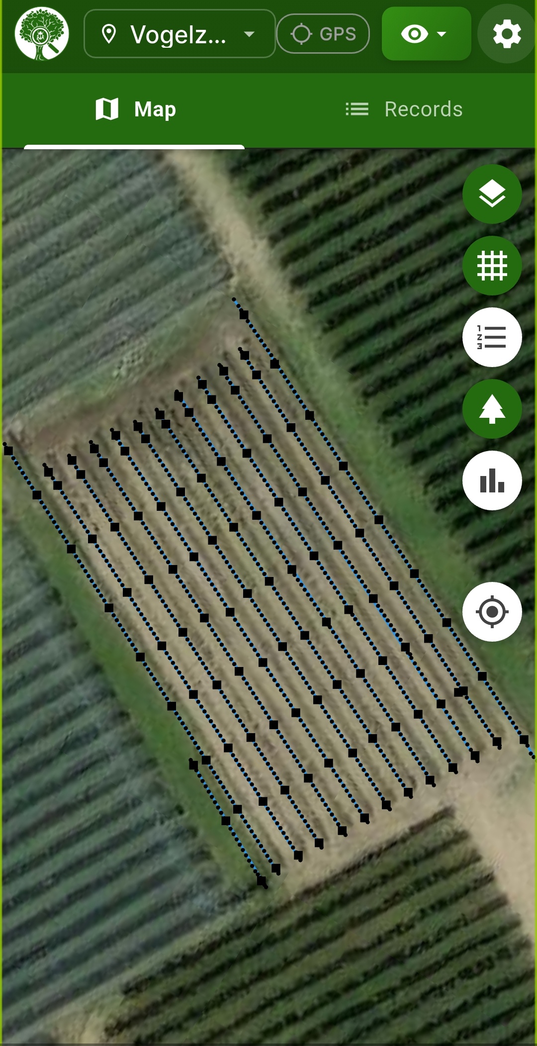 Basiskarte – Feldgrenzen und Reihen