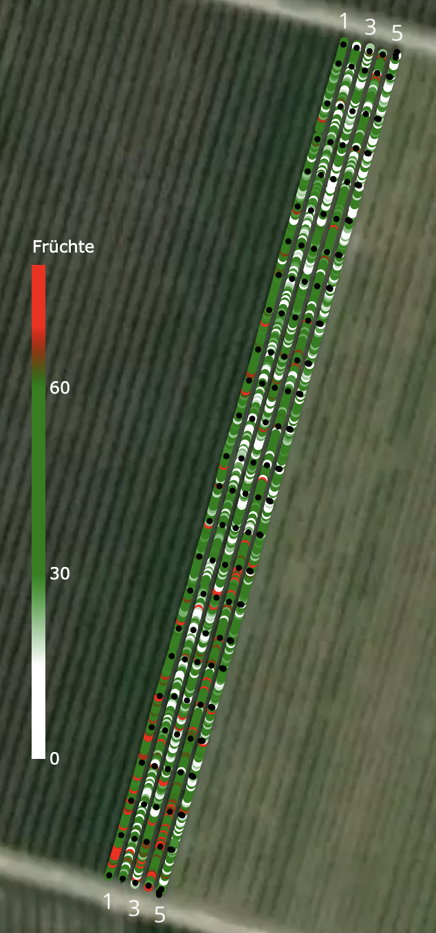 Karte: Fruchtbehang pro Baum