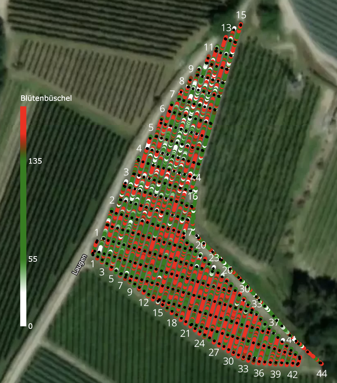 Blütenkarte mit angehobenem Schwellenwert, Kurzreihen rechts bleiben rot