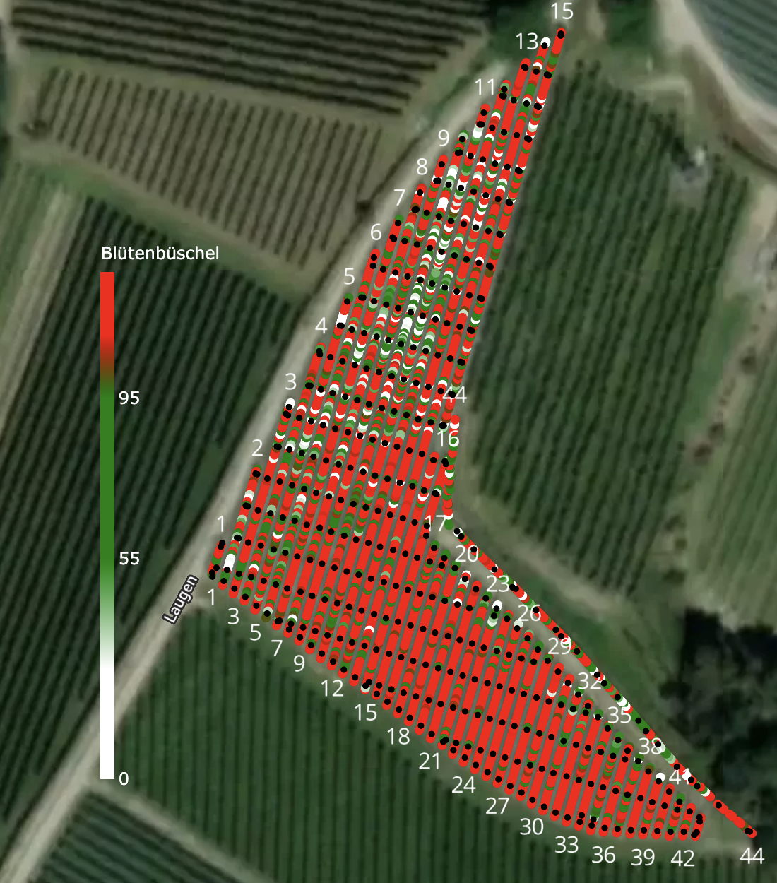 Standard-Blütenkarte – Ausgangskarte mit vielen roten, überladenen Bäumen