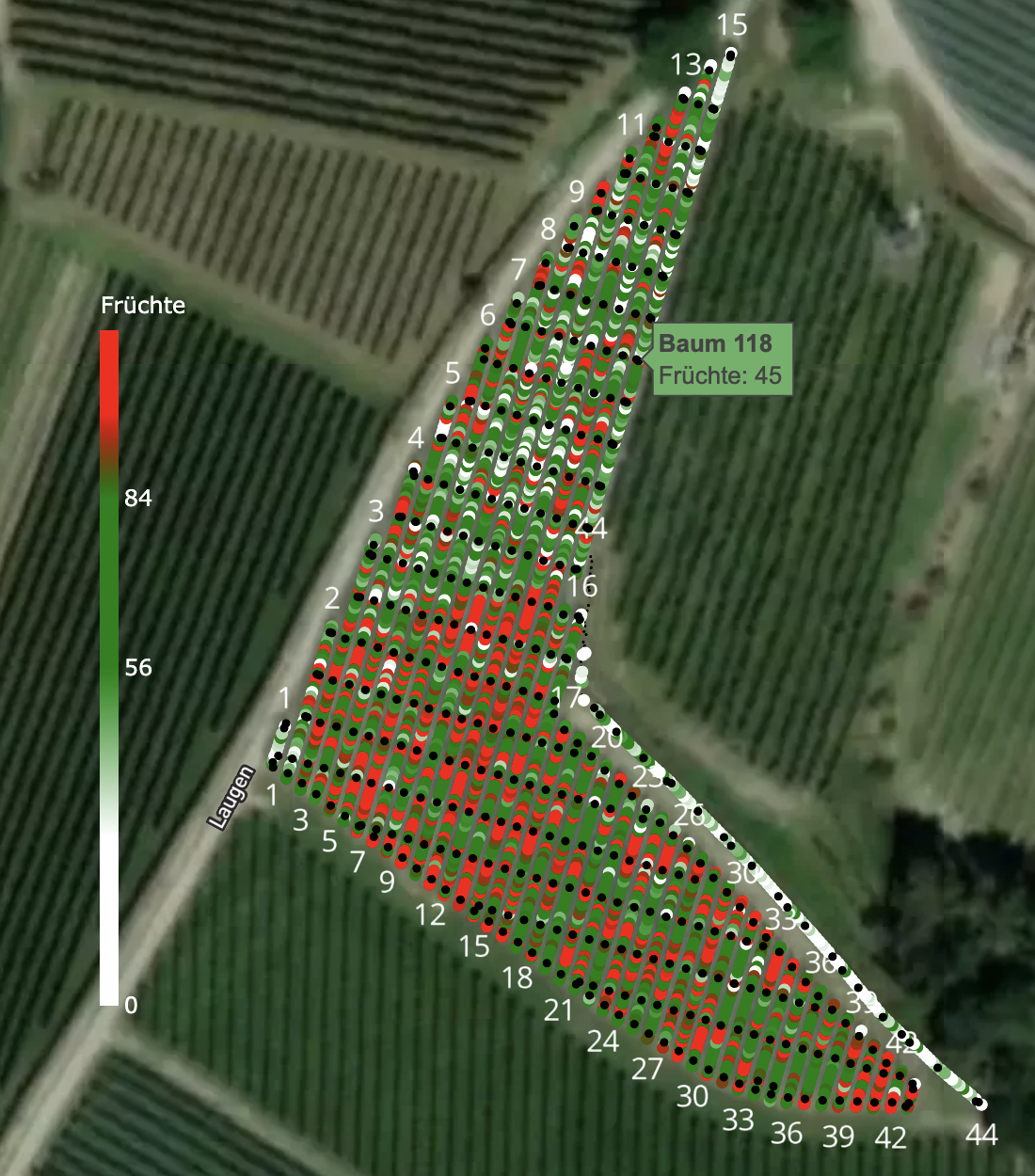 Fruchtkarte mit angepasstem Behang in den Kurzreihen rechts