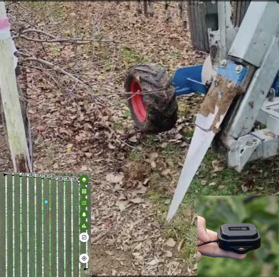 Wurzelrückschnitt in der Praxis